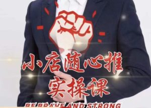 随心推线上课,小店随心推的投放逻辑,投放技巧,快速打标签-沐风资源库