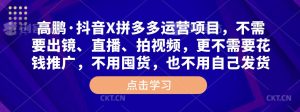 高鹏·抖音X拼多多运营项目,不需要出镜、直播、拍视频,不需要花钱推广,不用囤货,不用自己发货-沐风资源库