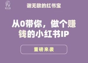 谢无敌·小红书运营大宝典，从0带你做个赚钱的小红书IP-沐风资源库