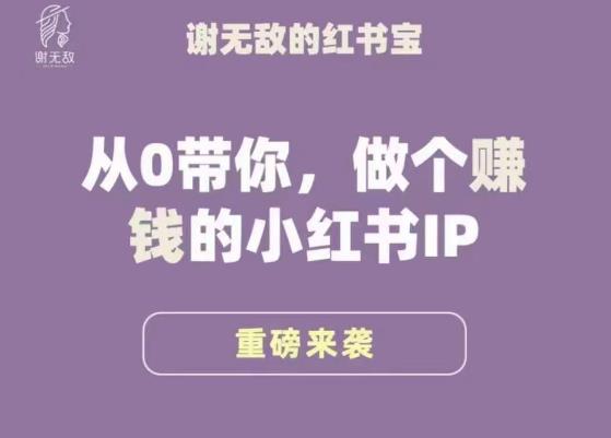 谢无敌·小红书运营大宝典，从0带你做个赚钱的小红书IP-沐风资源库