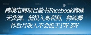 跨境电商项目脸书Facebook商城无货源,低投入高利润,熟练操作后月收入不会低于1W-3W-沐风资源库