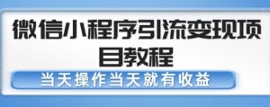 微信小程序引流变现项目教程，当天操作当天就有收益，变现不再是难事-沐风资源库