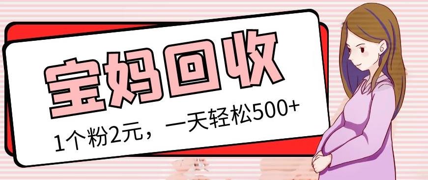 最新宝妈粉回收变现计划及胎教音乐高端变现玩法全套教程！（非老玩法）-沐风资源库