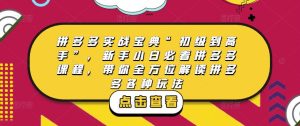 拼多多实战宝典“初级到高手”，新手小白必看拼多多课程，带你全方位解读拼多多各种玩法-沐风资源库