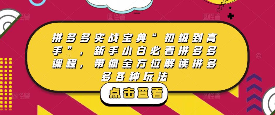拼多多实战宝典“初级到高手”，新手小白必看拼多多课程，带你全方位解读拼多多各种玩法-沐风资源库