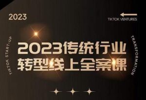 数据哥2023传统行业转型线上全案课，2023年传统行业如何转型线上，线上创业/传统转型避坑宝典-沐风资源库