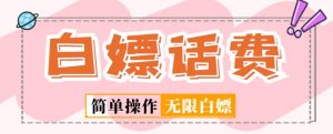 外面收费598的最新闲鱼无限白嫖话费项目，简单暴利【详细玩法教程】-沐风资源库