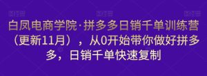 白凤电商学院·拼多多日销千单训练营，从0开始带你做好拼多多，日销千单快速复制（更新知2023年3月）-沐风资源库