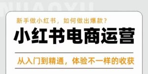 红商学院·小红书电商运营课，​新手做小红书如何快速做出爆款，从入门到精通，体验不一样的收货-沐风资源库