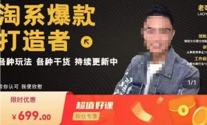 锋投老叶全店动销，淘系干货汇总，各种玩法，淘系爆款打造者-沐风资源库