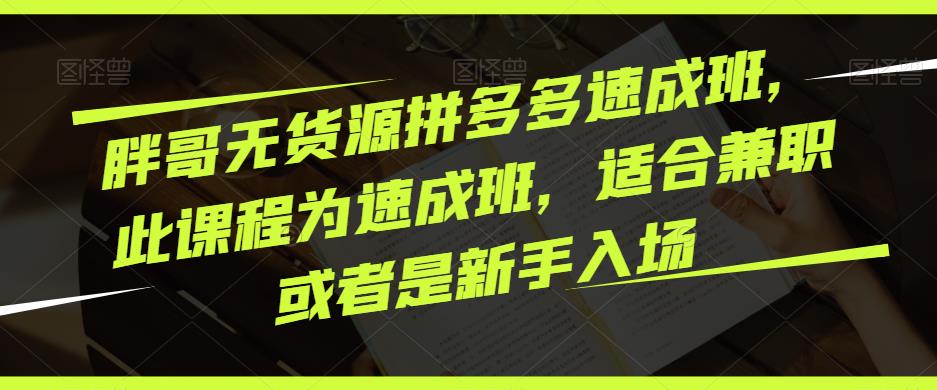 胖哥无货源拼多多速成班,此课程为速成班,适合兼职或者是新手入场-沐风资源库