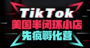 疯人院·TikTok美国半闭环小店孵化营，抢占TikTok美国蓝海市场，开店、运营、带货、投流全实操-沐风资源库