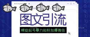 2023年价值1980的图文引流创业粉螺旋起好技术暴力起粉加爆微信-沐风资源库
