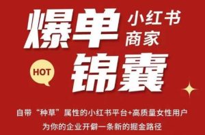 无畏·小红书商家爆单锦囊，掌握小红书各大规则，快速精准抢占行业和市场-沐风资源库