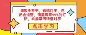淘系全系列,看透对手,自然会运营,覆盖淘系99%的打法,实操案例读懂对手-沐风资源库