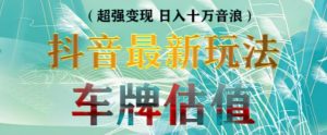 抖音最新无人直播变现直播车牌估值玩法项目，轻松日赚几百+【详细玩法教程】-沐风资源库