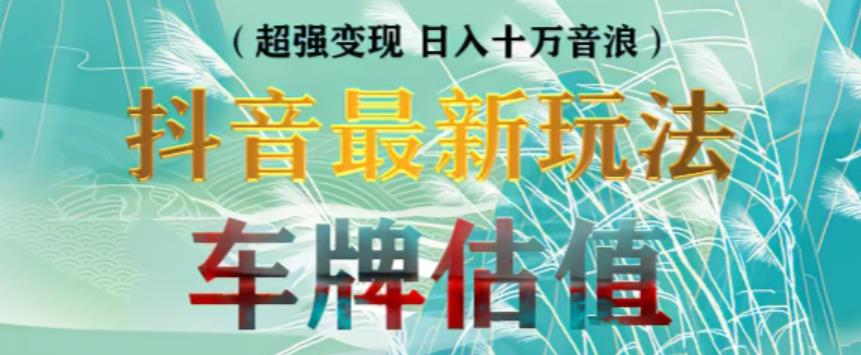 抖音最新无人直播变现直播车牌估值玩法项目，轻松日赚几百+【详细玩法教程】-沐风资源库