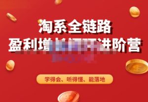 淘系全链路盈利增长闭环进阶营，融合全店动销，学得会、听得懂、能落地！-沐风资源库