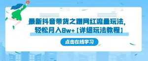最新抖音带货之蹭网红流量玩法，轻松月入8w+【详细玩法教程】-沐风资源库