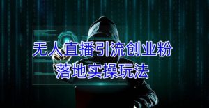 外面收费3980的无人直播引流创业粉落地实操玩法，单日引100+精准创业粉-沐风资源库