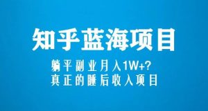 知乎蓝海玩法，躺平副业月入1W+，真正的睡后收入项目（6节视频课）-沐风资源库