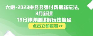 大炮·2023拼多多强付费最新玩法，3月新课​78分钟详细讲解玩法流程-沐风资源库