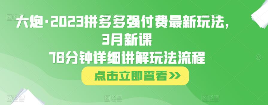 大炮·2023拼多多强付费最新玩法，3月新课​78分钟详细讲解玩法流程-沐风资源库