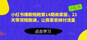 小红书爆款陪跑第14期商家版，21天带货陪跑课，让商家丢掉付流量-沐风资源库