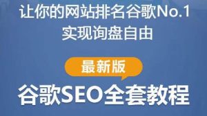 谷歌SEO实战教程：如何让你的网站在谷歌排名第一，内容从入门到高阶，适合个人及团队-沐风资源库
