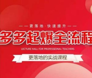 互力-多多新品打爆全流程，拼多多14天拉搜索自然流量，更落地·快速提升-沐风资源库