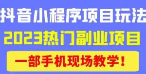 抖音小程序9.0新技巧，2023热门副业项目，动动手指轻松变现-沐风资源库
