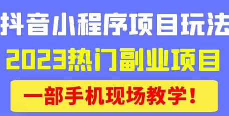 抖音小程序9.0新技巧，2023热门副业项目，动动手指轻松变现-沐风资源库
