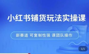小红书铺货玩法实操课，流量大，竞争小，非常好做，新赛道，可复制性强，可团队操作-沐风资源库