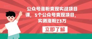 公众号涨粉变现实战项目课，5个公众号变现项目，实测涨粉23万-沐风资源库