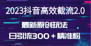 日引300＋创业粉，独家抖音高效截流2.0玩法（价值1280）-沐风资源库