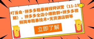 叮当会·拼多多粗暴赚钱特训营（11-19期），拼多多全店小爆款群+拼多多视频简单粗暴技术+无货源店群等-沐风资源库