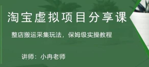 淘宝虚拟整店搬运采集玩法分享课：整店搬运采集玩法，保姆级实操教程-沐风资源库