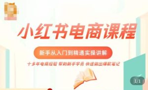 小红书电商新手入门到精通实操课,从入门到精通做爆款笔记,开店运营-沐风资源库