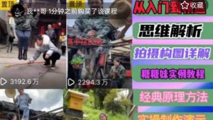 东方糖糖妹抖音短视频全套实战课思维+拍摄+剪辑+运营，从入门到精通-沐风资源库