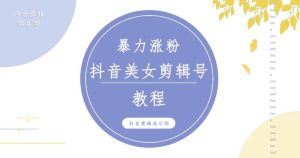 抖音快手暴力涨粉美女混剪视频教程，百分百过原创图片教程！附带违规申诉方法-沐风资源库