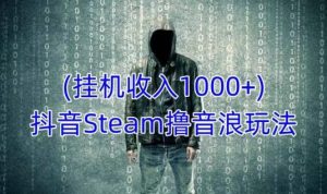 抖音Steam撸音浪玩法，挂机一天收入1000+不露脸 不说话 不封号 社恐人群福音-沐风资源库