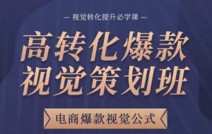 高转化爆款视觉策划班，电商爆款视觉公式，视觉转化提升必学课-沐风资源库