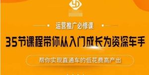 35节课程带你从入门成长为资深车手，让系统学习直通车成为可能，帮你实现直通车的低花费高产出-沐风资源库