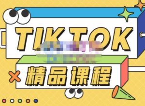 电商孵化中心·TikTok精品课程，教你玩转海外抖音，低成本创业，带您从0开始玩转TikTok-沐风资源库