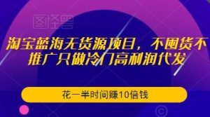 淘宝蓝海无货源项目，不囤货不推广只做冷门高利润代发，花一半时间赚10倍钱-沐风资源库