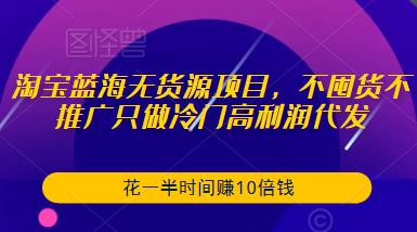 淘宝蓝海无货源项目，不囤货不推广只做冷门高利润代发，花一半时间赚10倍钱-沐风资源库