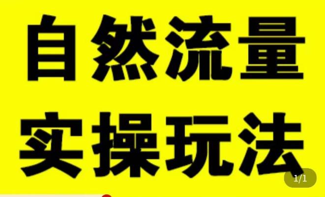拼多多自然流量天花板，拼多多自然流的实操玩法，自然流量是怎么来的，如何开车带来自然流等知识-沐风资源库