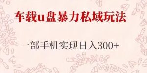 车载u盘暴力私域玩法，长期项目，仅需一部手机实现日入300+-沐风资源库
