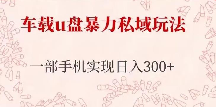 车载u盘暴力私域玩法，长期项目，仅需一部手机实现日入300+-沐风资源库