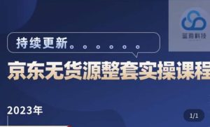 蓝七·2023京东店群整套实操视频教程，京东无货源整套操作流程大总结，减少信息差，有效做店发展-沐风资源库